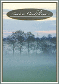 Brume apaisante au cr&eacute;puscule calme